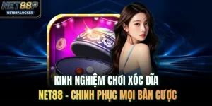 Kinh Nghiệm Chơi Xóc Đĩa NET88 - Chinh Phục Mọi Bàn Cược