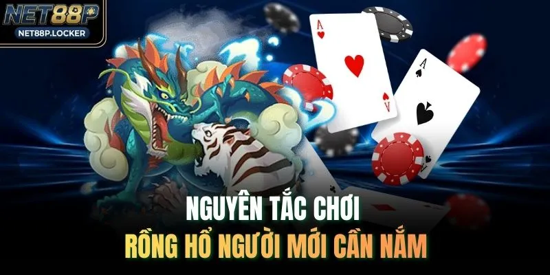 Nguyên tắc chơi Rồng hổ người mới cần nắm