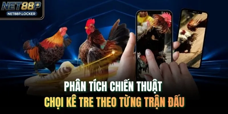 Đá Gà Tre - Kiến Thức Chuyên Sâu Từ Giống Đến Chiến Thuật