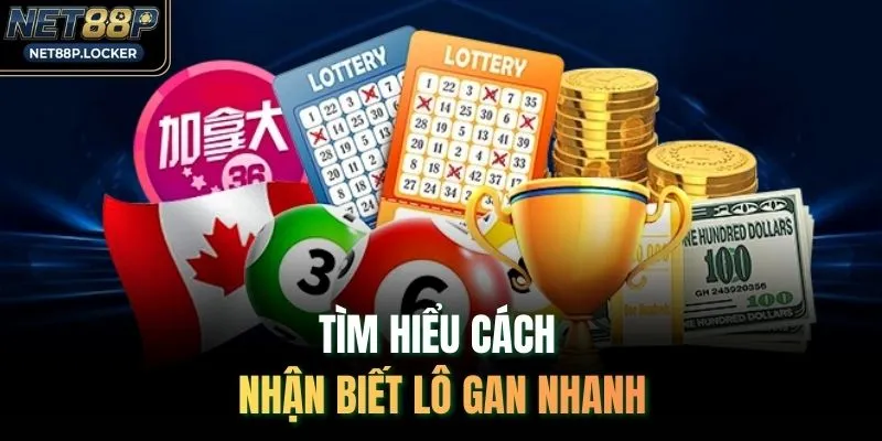 Tìm hiểu cách nhận biết lô gan nhanh